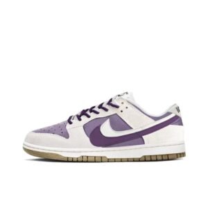 nike sb dunk double hook series