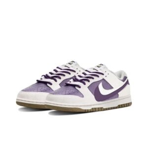 nike sb dunk double hook series